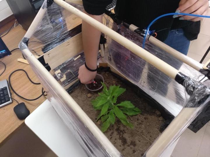 Student working with self made greenhouse